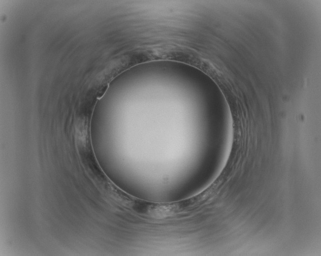 X0000076310129200610161628