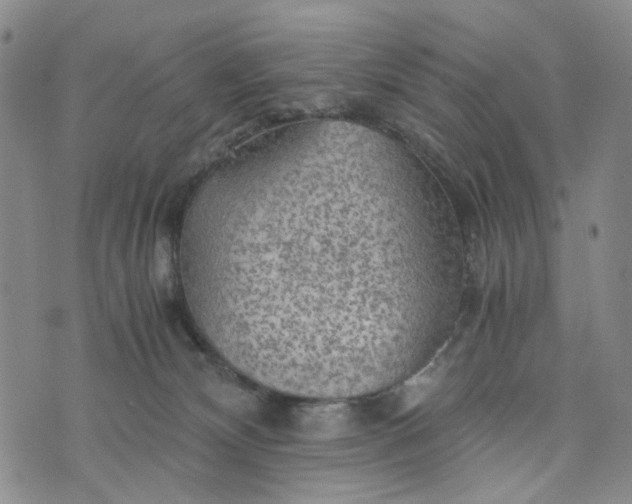 X0000076310132200610161628