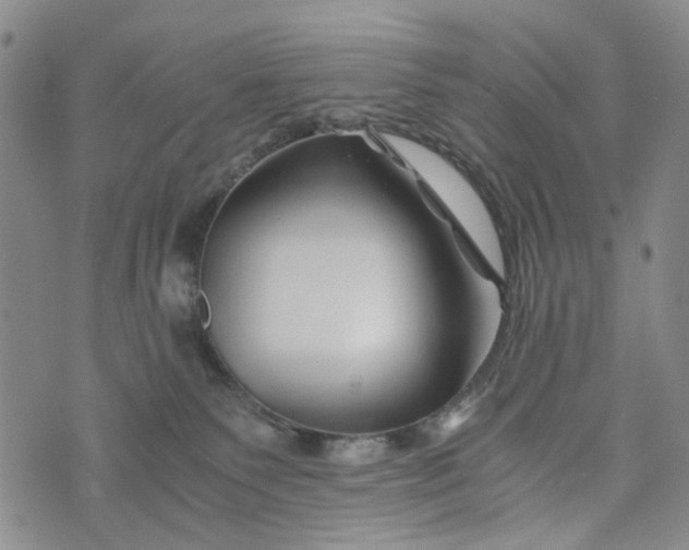 X0000076310135200610161628