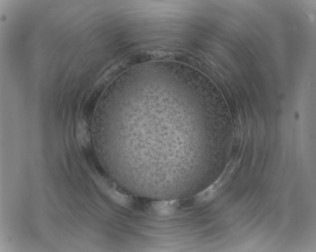 X0000076310136200610161628