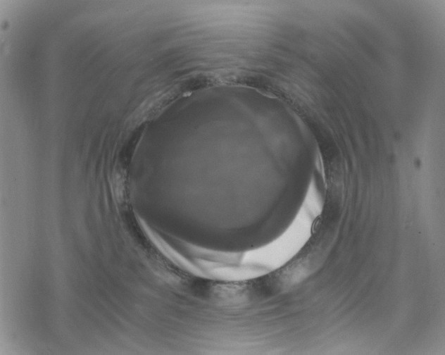 X0000076310139200610161628