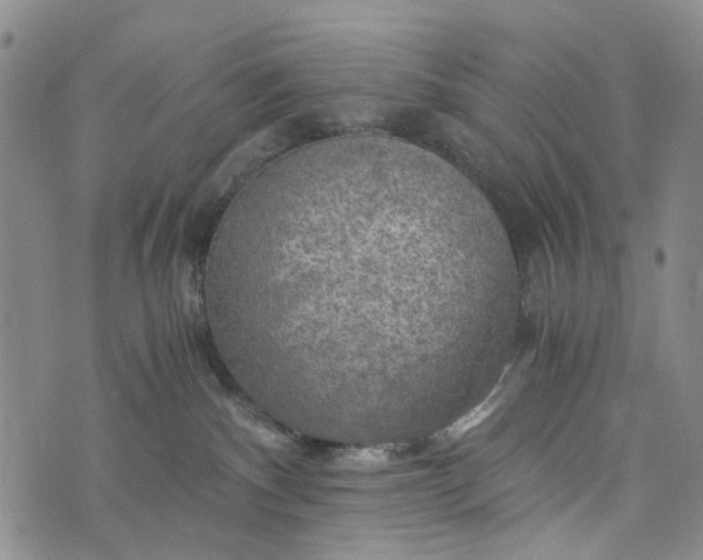 X0000076310140200610161628