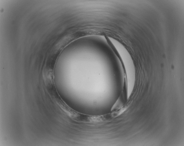 X0000076310141200610161628