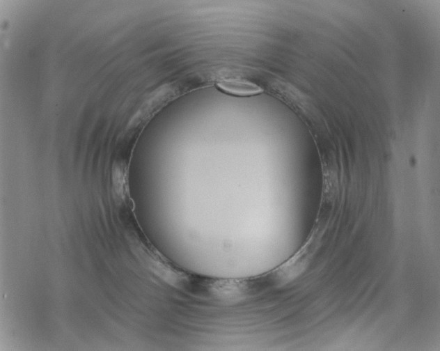 X0000076310142200610161628