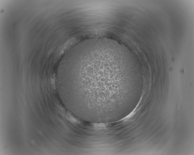 X0000076310144200610161628