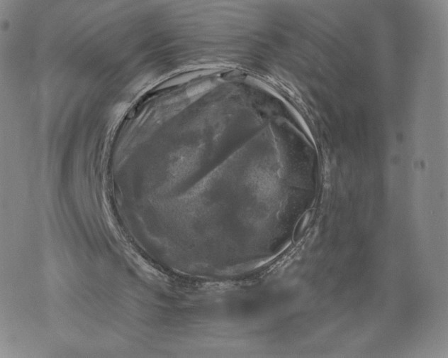 X0000076310145200610161627