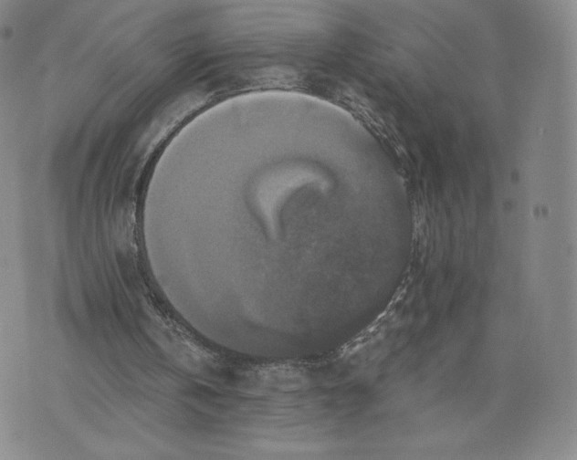 X0000076310146200610161627