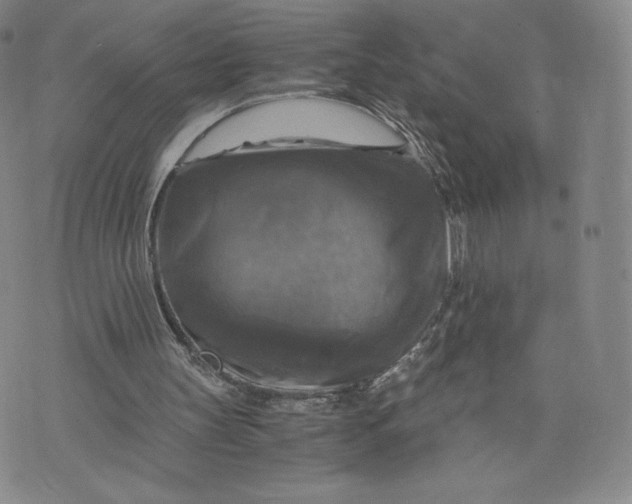 X0000076310147200610161627