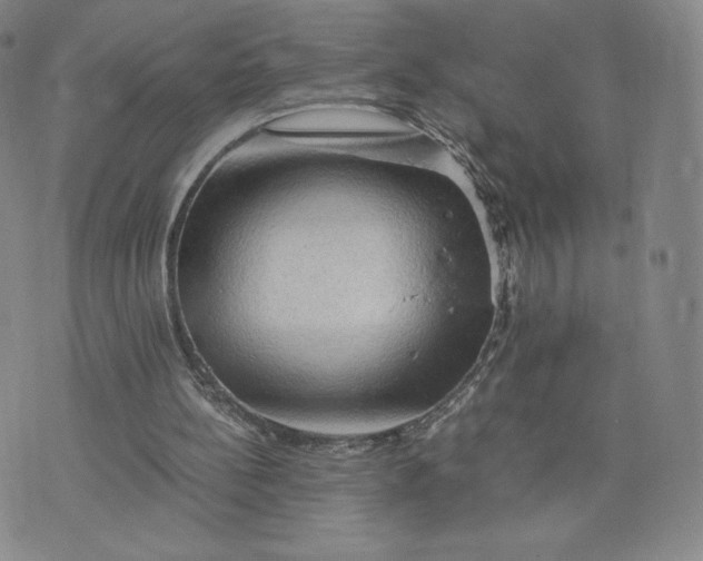 X0000076310148200610161627