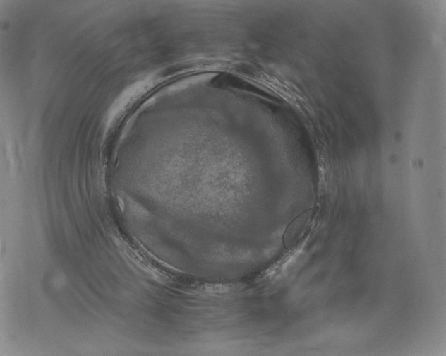 X0000076310149200610161627