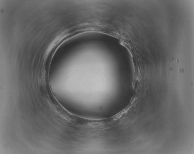 X0000076310150200610161627