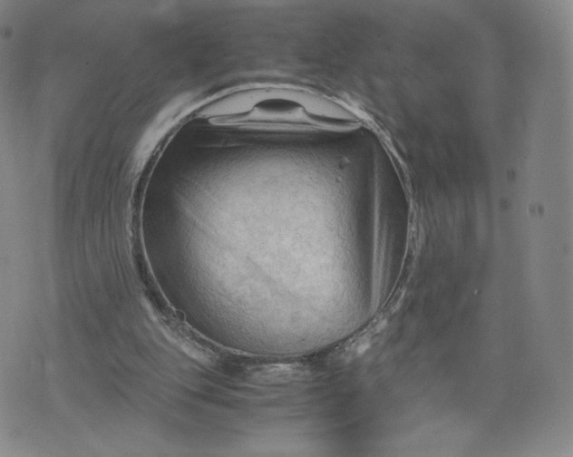 X0000076310151200610161627