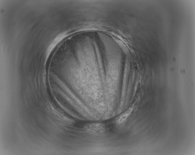 X0000076310152200610161627