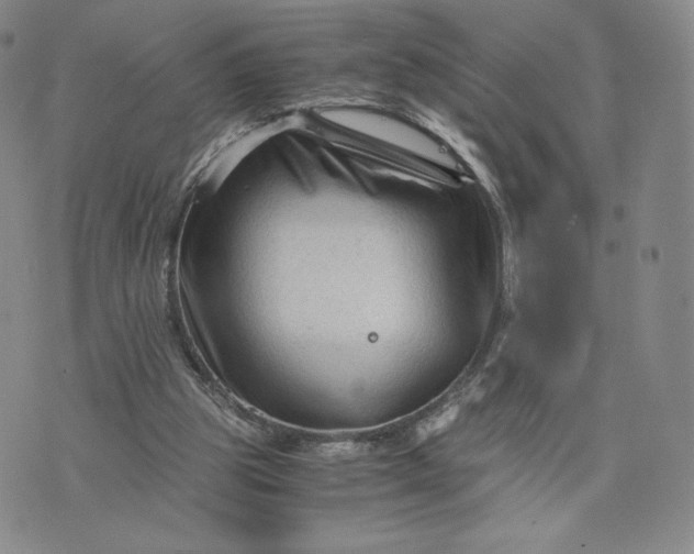 X0000076310153200610161627