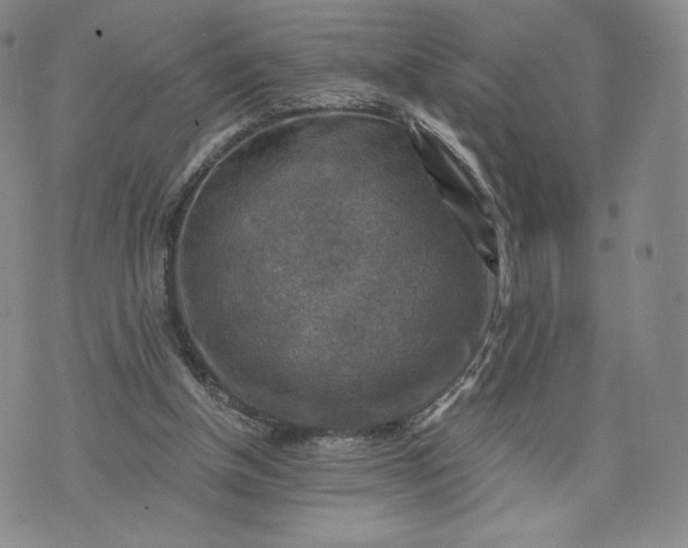 X0000076310154200610161627