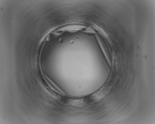 X0000076310155200610161627