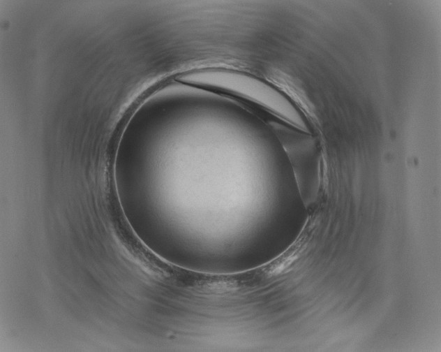 X0000076310156200610161627