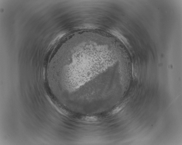 X0000076310157200610161627