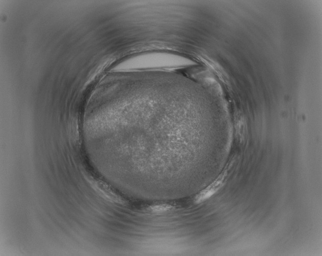 X0000076310158200610161627