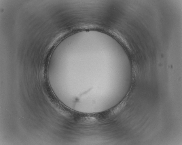 X0000076310159200610161627