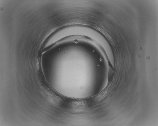 X0000076310160200610161627