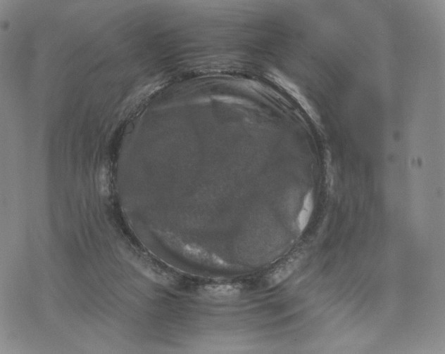 X0000076310161200610161627