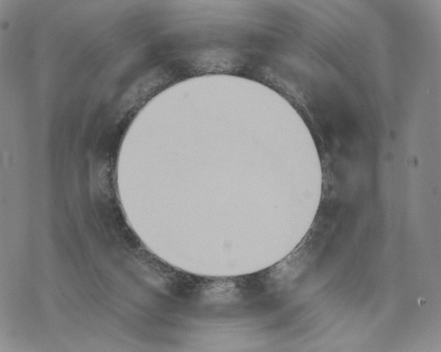 X0000076310162200610161627