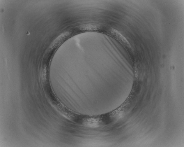 X0000076310163200610161627