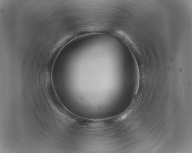 X0000076310164200610161627