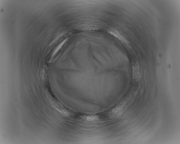 X0000076310165200610161627