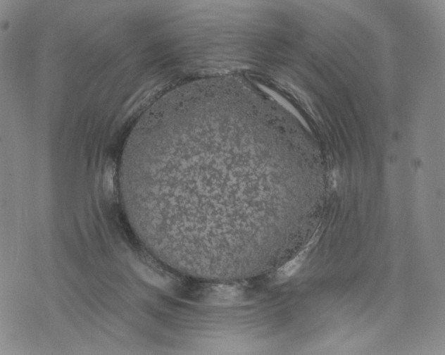 X0000076310166200610161627