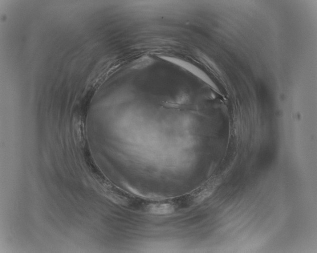 X0000076310169200610161628