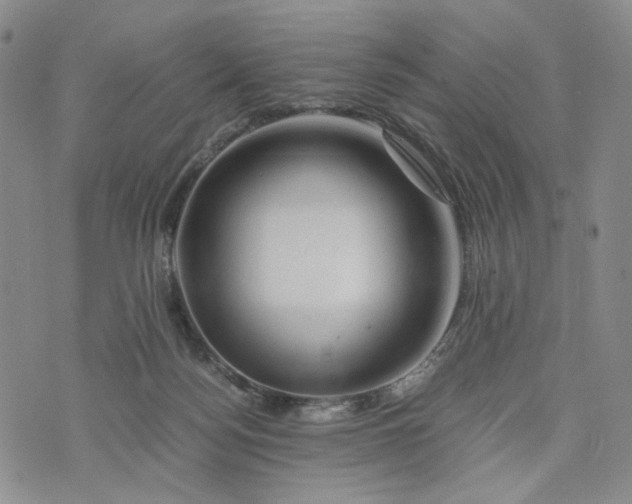 X0000076310172200610161628