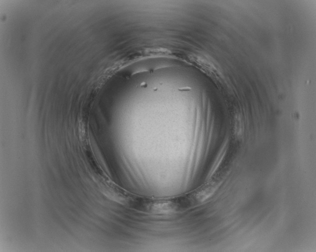 X0000076310173200610161628