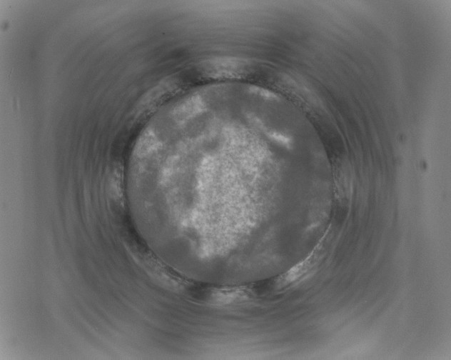 X0000076310175200610161628