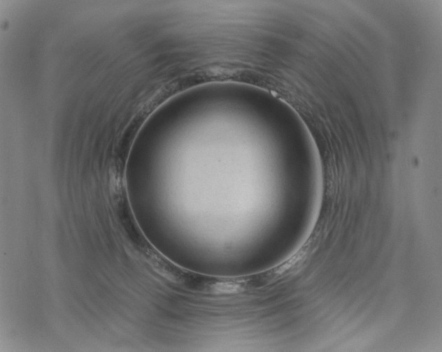 X0000076310176200610161628