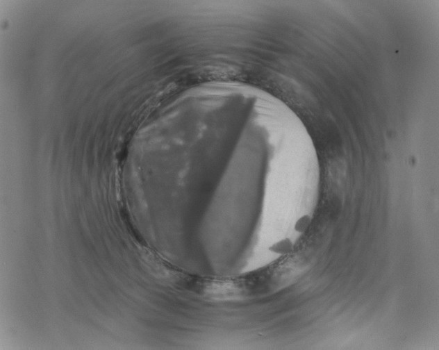 X0000076310177200610161628