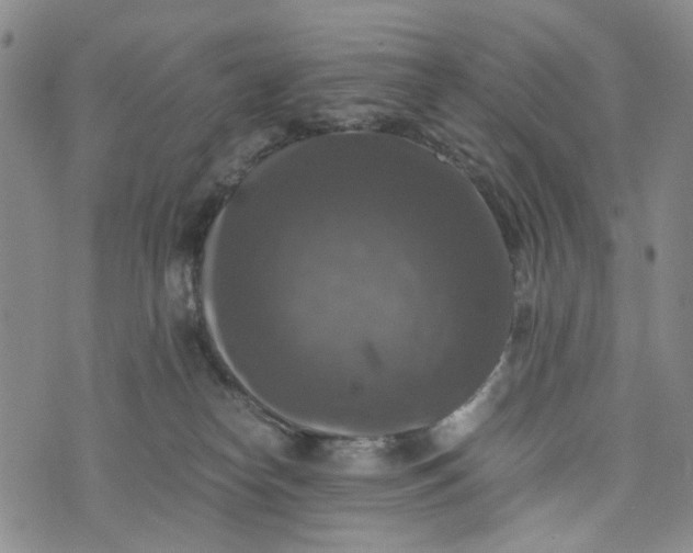 X0000076310182200610161628