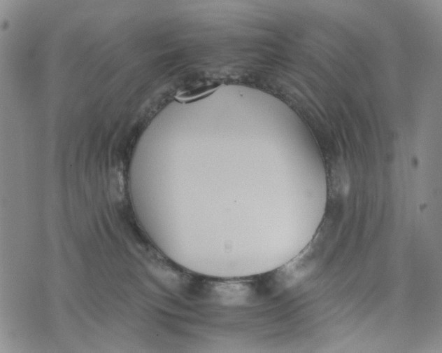 X0000076310183200610161628