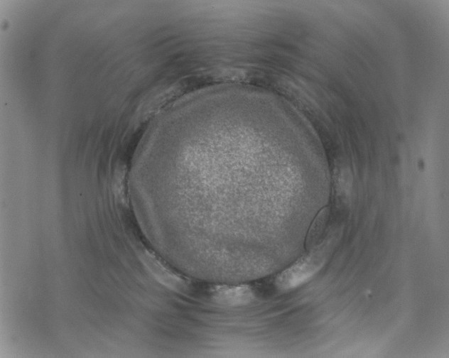 X0000076310185200610161628