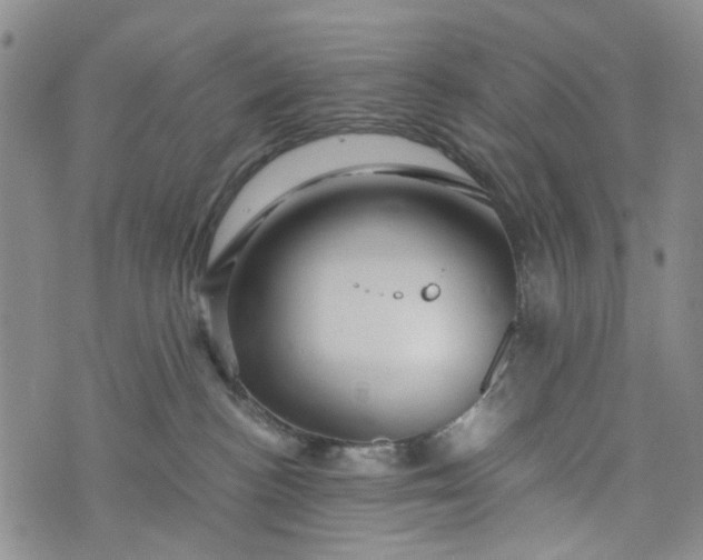 X0000076310188200610161628