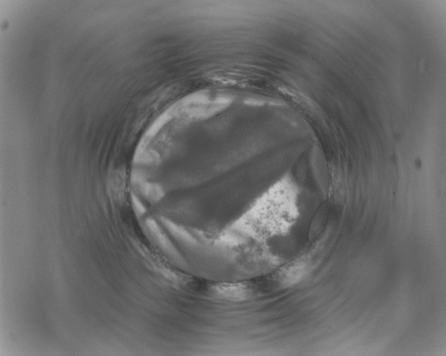 X0000076310189200610161628