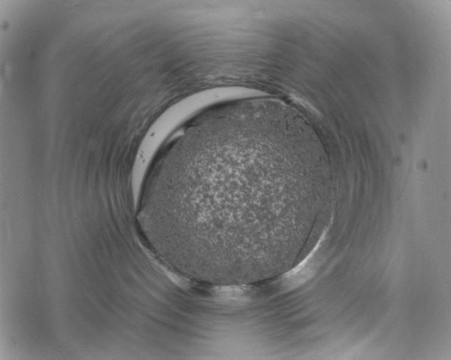 X0000076310192200610161628