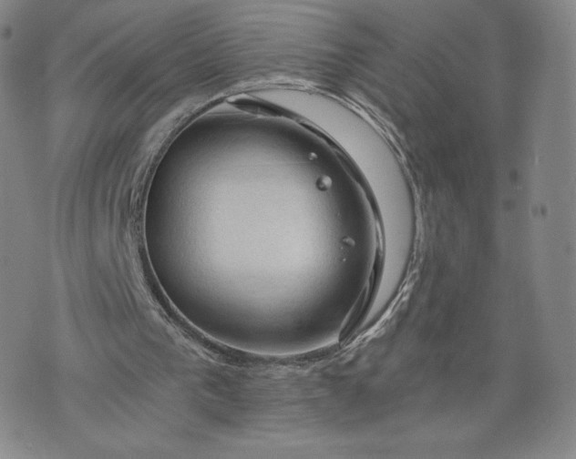 X0000076310193200610161627