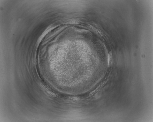 X0000076310195200610161627