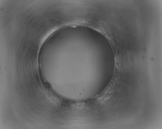 X0000076310196200610161627