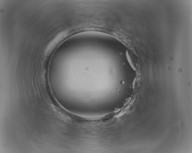 X0000076310197200610161627