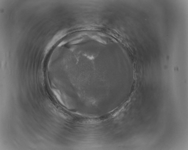 X0000076310198200610161627