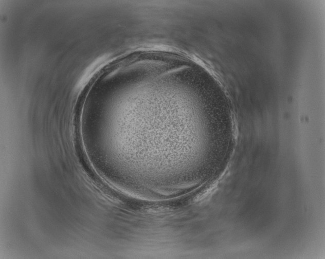 X0000076310199200610161627