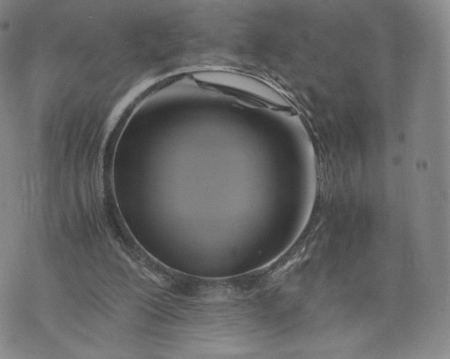 X0000076310200200610161627